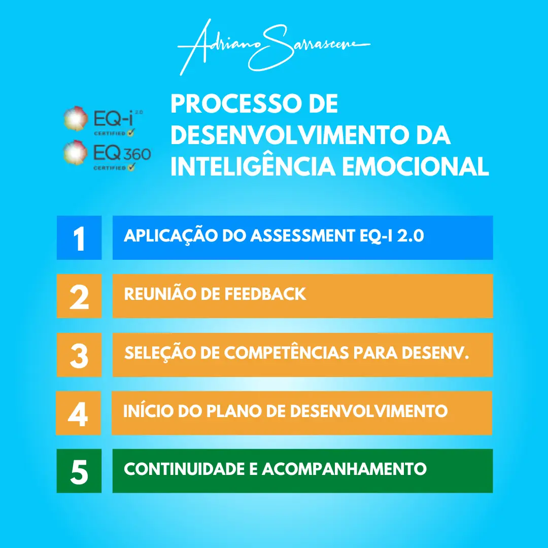 Processo de Desenvolvimento da Inteligência Emocional